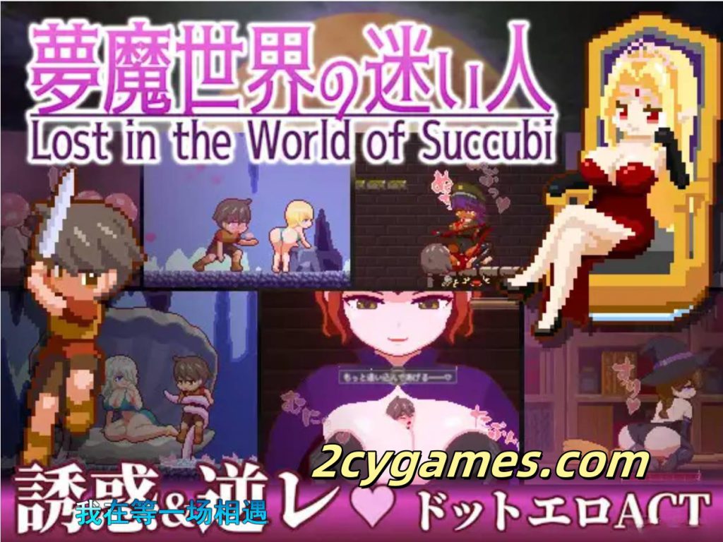 图片[6]-[PC+安卓] [ACT/像素/官中] 梦魔世界的迷失者 Ver1.01+全CG [1.22G]-2cygames