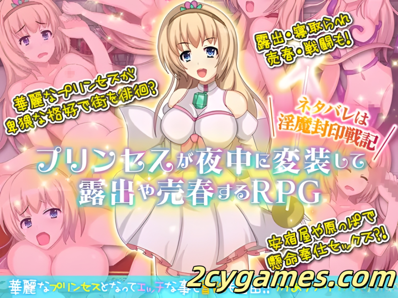 [PC+安卓joi][RPG/精翻/露出]公主卖春奋斗记 精翻汉化版[120M]-2cygames