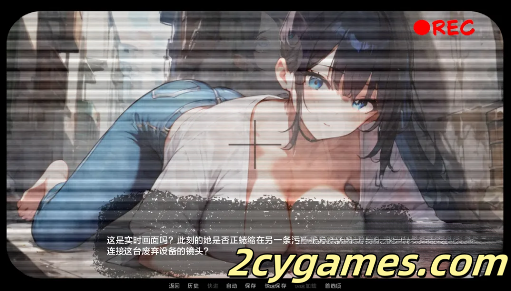 图片[2]-[PC+安卓][日系SLG/汉化] 巷道摄像机 [v1.0] Alleycam [163M]-2cygames
