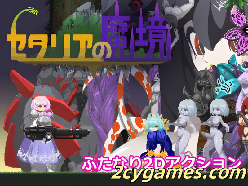 [PC] [日系像素ACT/精翻/全动态] 塞塔利亚魔镜 セタリアの魔境 Ver1.21 精翻汉化版 [139M]-2cygames