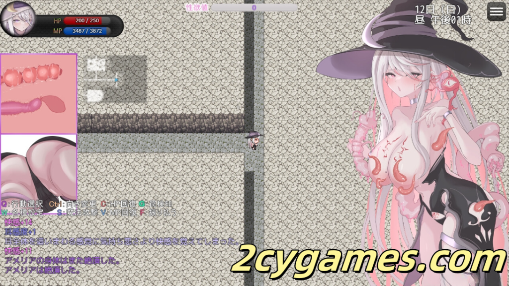 图片[5]-[PC+安卓joi] [日系RPG/官中/步兵] 艾梅莉亚与色色触手迷宫 官方中文步兵版[1.60G]-2cygames