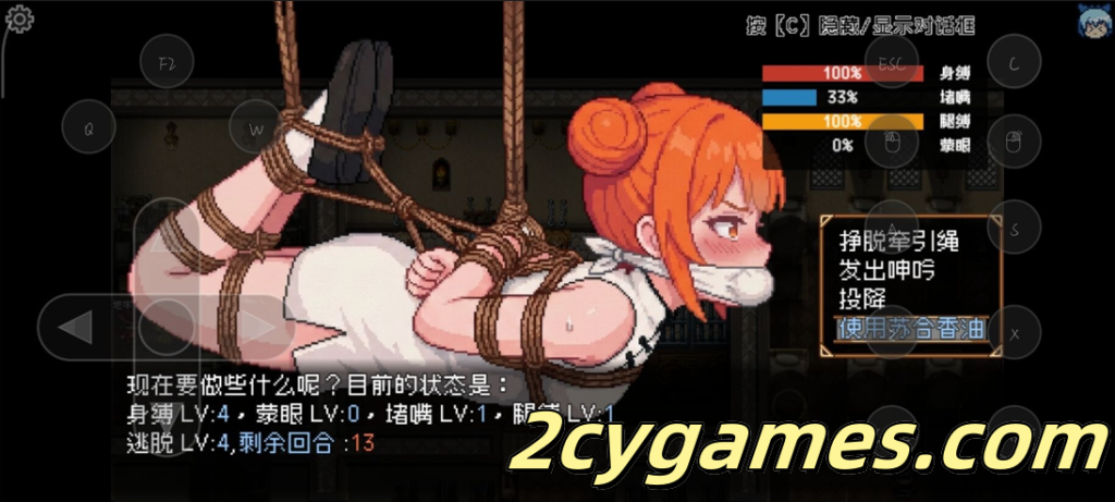 图片[2]-[PC+安卓joi] [日系RPG/官中/捆绑] 东方捕缚秘录 官方中文版[660M]-2cygames